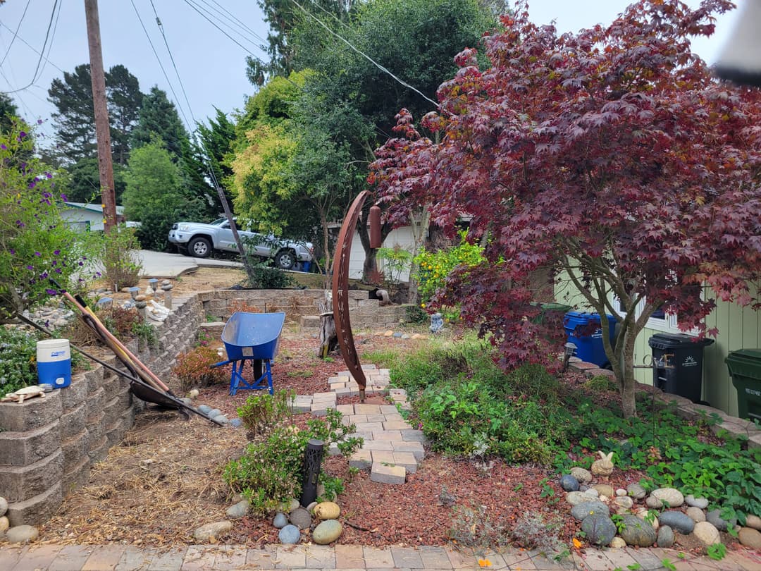 Backyard with trees and shrubs