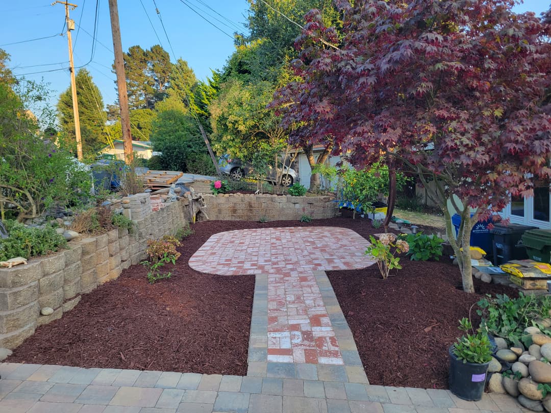 Backyard with a paver walkway