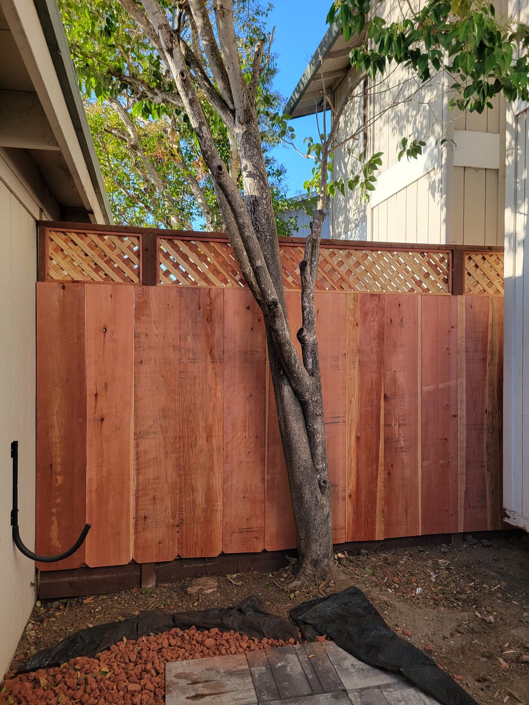 New fence in between two homes