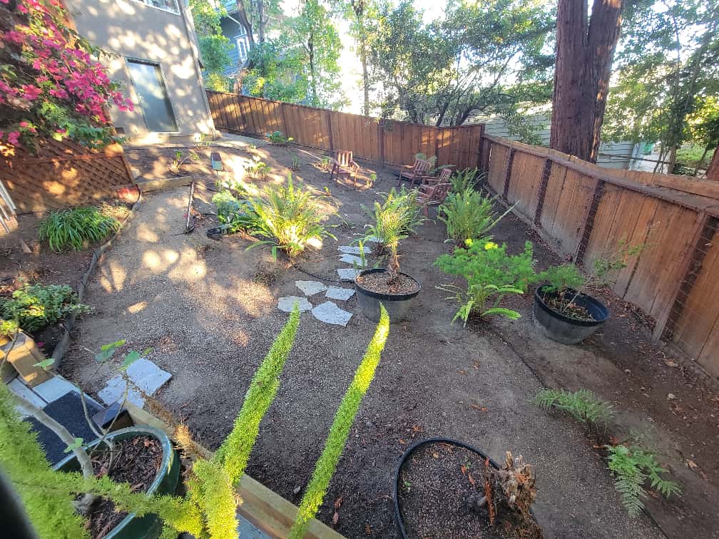 Redwood Leaf Cleanup Service in Aptos