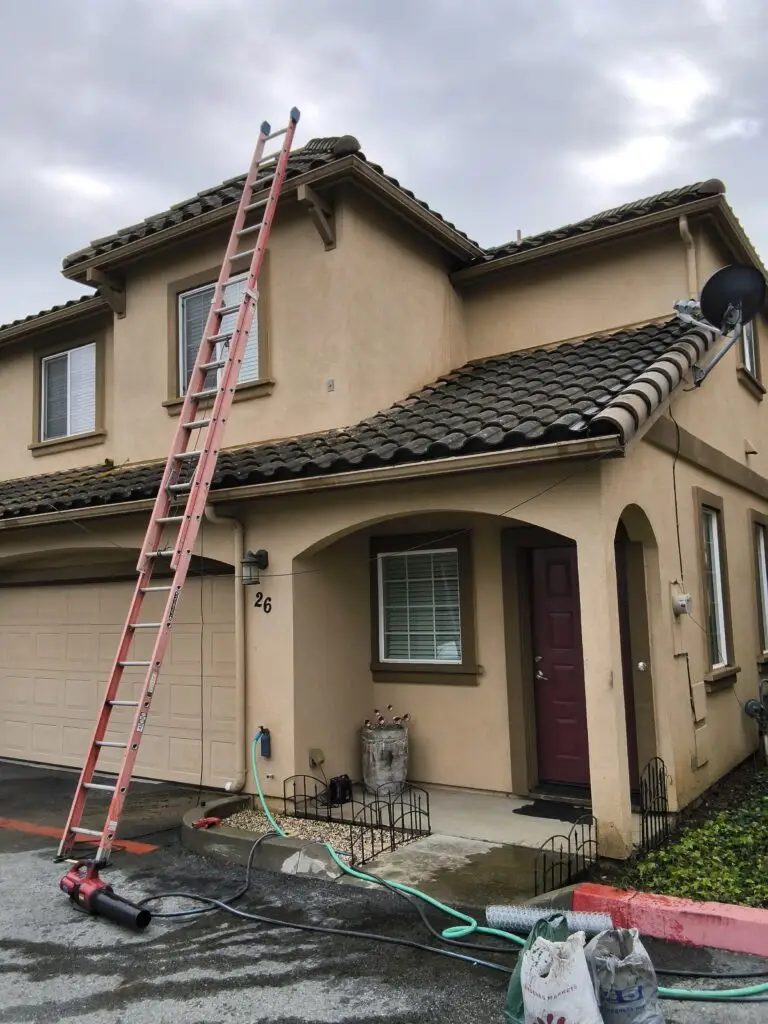 Gutter Cleaning and Bird-Proofing Services in Watsonville