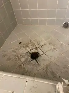 Drain Unclogging Service in Santa Cruz — drain unclogging