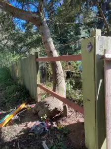 Fence Repair and Reinforcement in Watsonville — board mounting