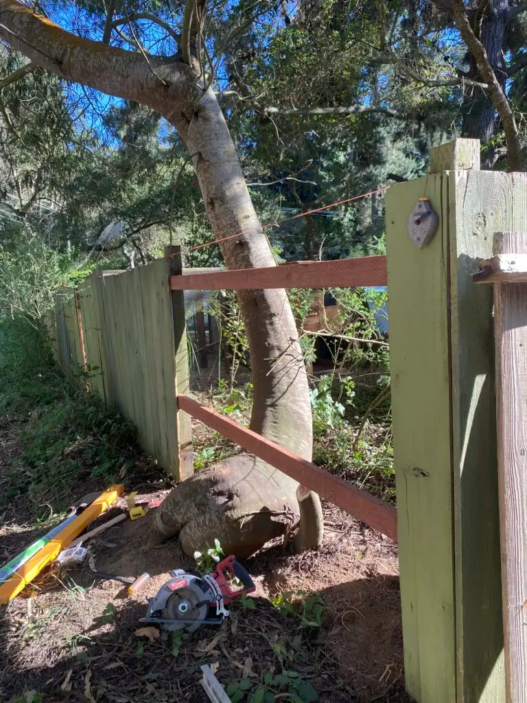 Fence Repair and Reinforcement in Watsonville — board mounting