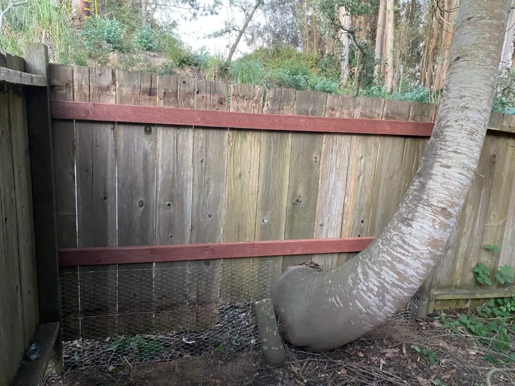 Fence Repair and Reinforcement in Watsonville — fence reinforcement
