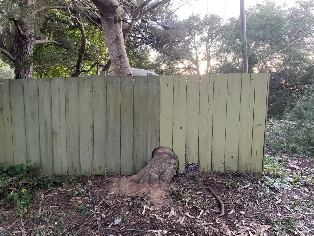 Fence Repair and Reinforcement in Watsonville — chicken wire installation